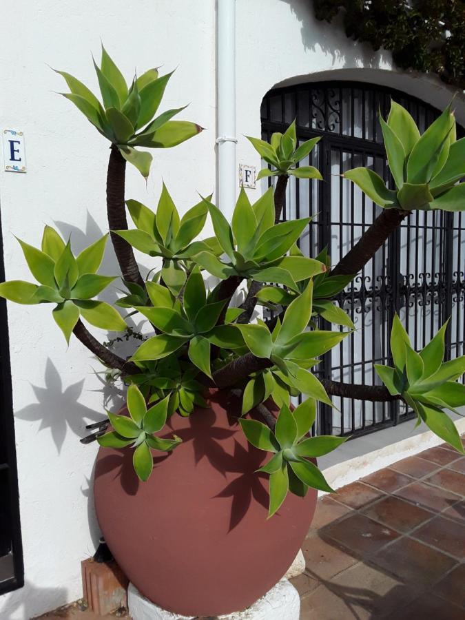 Dona Lola , Luminoso Apartamento Calahonda, Mijas Sitio de Calahonda Extérieur photo